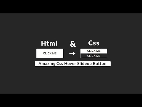 Create Css Slide Up Hover Button - HTMl & Css Button Hover Effect🔥🔥