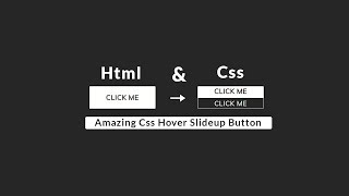 Create Css Slide Up Hover Button - HTMl & Css Button Hover Effect🔥🔥