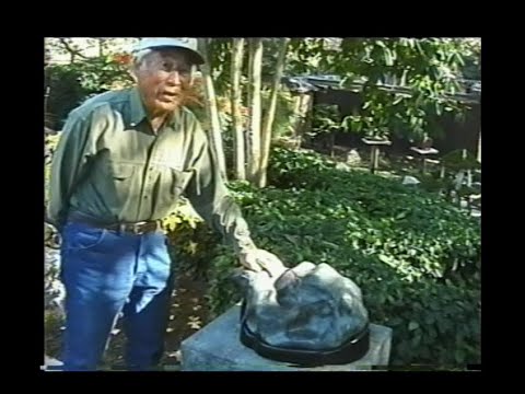 Harry Hirao's Bonsai & Suiseki Interview (2000)