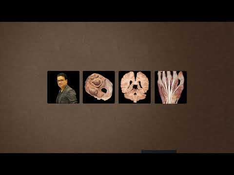 Anatomy by Dr Ashwani Kumar Live Stream