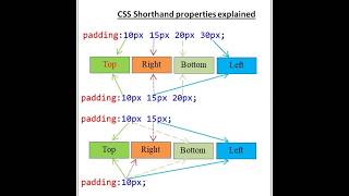 CSS Padding Explained in 30 Seconds! #Shorts | Padding in CSS | Quick & Easy