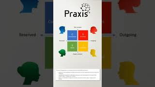 Shorts  Praxis 360 for teams