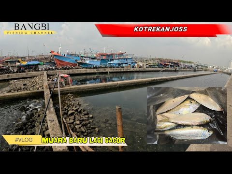 Mancing di dam muara baru pakai kotrekan