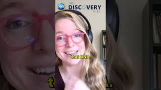 Sea-Inspired Soft Robotic Gripper Can Handle Complex Objects #shorts #robot