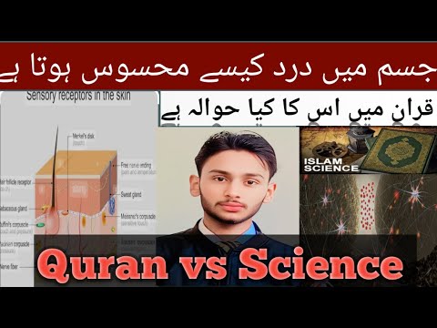 جسم میں درد کیسے محسوس ہوتا ہے||Pain receptors||Islam and Science by Abdullah