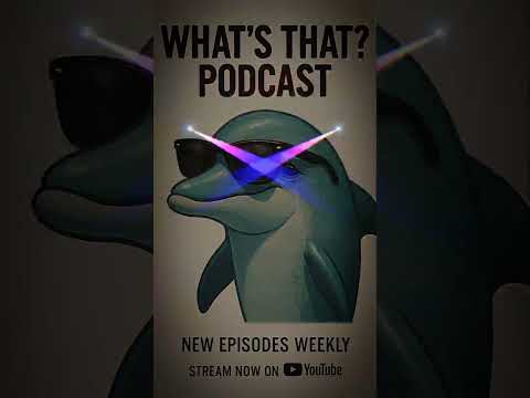 What's That?! podcast episode 3 out now