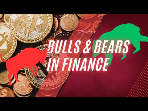 Bulls vs. Bears: Decoding the Wild Language of Finance 📈🐂📉🐻