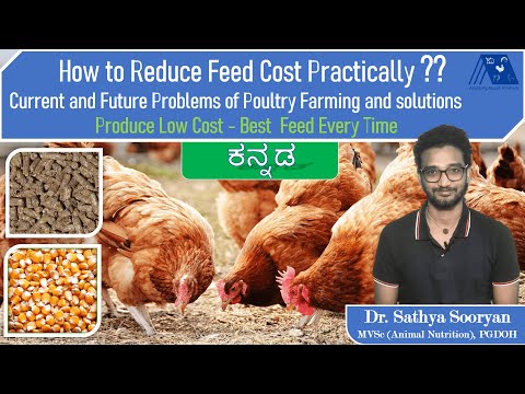Low-Cost Poultry Feed - Kannada | Current and Future Problems of Poultry Farming and Solutions