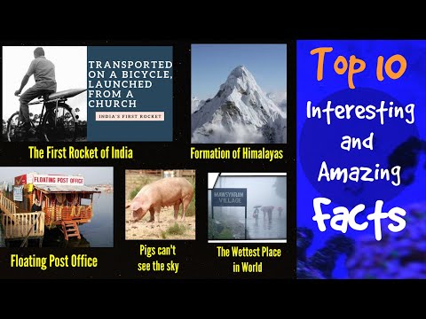 11 Interesting and Amazing Facts| Unknown Facts for You