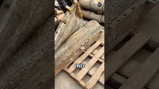China Builds Fake Trees So Real, You’ll Be Fooled!