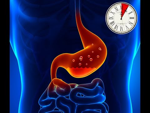 How Long Different Foods Take To Digest