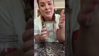 Sourdough Starter from Scratch Day 1 #sourdoughtips #sourdoughstarter #tutorial