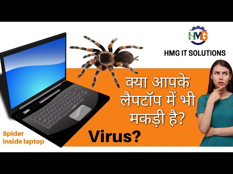 Spider inside laptop, creating net