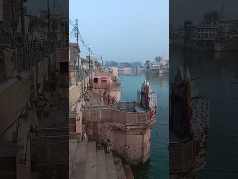निधिवन वृंदावन