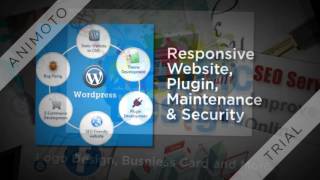 Hire WordPress Web Designer and Developer in Windsor
