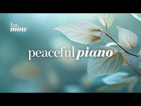 Peaceful Piano | soft clarity | calm music for quiet moments
