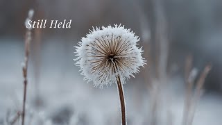Still Held | Peaceful Piano for Prayer & Quiet Reflection