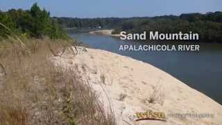 Sand Mountain, Apalachicola River | WFSU EcoAdventures