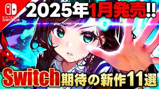 【switch】2025年1月発売！スイッチ期待の新作ゲーム11選！【switchおすすめソフト】