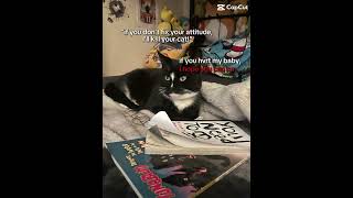 Sox 🖤🖤❤️❤️#ilovemycat #tocakiz #cats