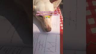 Funny 🤣 CBSE Board Math Exam Mumma mujhe kuch nahi samjh AA raha hai #viral #doglover