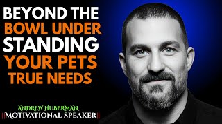 Beyond the Bowl: Understanding Your Pet’s True Needs ANDREW HUBERMAN Motivational Speech