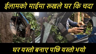 ईलामको माईमा रूखले घर कि चाउदा घर यस्तो बनाए पछि यस्तो भयो ।