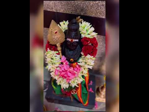 உன்னிடத்தில் சரண் அடைந்தேன் ஓம் முருகா போற்றி #muruganthunai #murugan_whatsapp_status