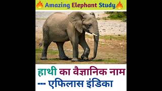 Amazing Elephant Study in Hindi language knowledge video #studyknowledge