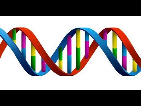 What is DNA?