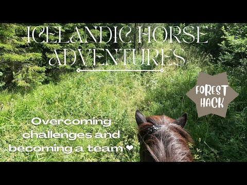 Becoming a team ❤️🐴 | Riding vlog | GoPro Hero 10 | Icelandic Horse Adventures