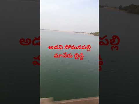 Adavisomanpalli maneru bridge#ytshorts #shorts #naturelovers