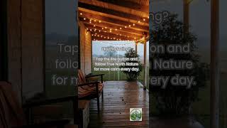 Rain Sounds for ADHD, Sleep & Study | Country Porch Ambience #Shorts