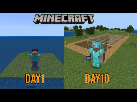 Survive 10 Days on a Deserted Island & Beat Minecraft