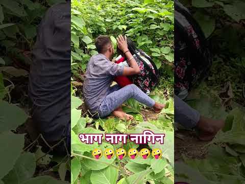 #meme#viral #explorepage #india #likes #bhfyp #tiktok #trending #dank#mayoutube #humor #comedy #ma #