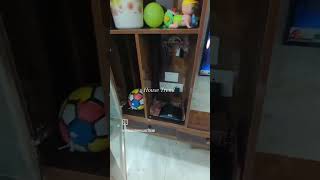 #interiordesign #homerenovationideas #housetrends