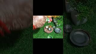 viral lunchbox🍱 part 2 || kids lunchbox #mini food #viral #lunchboxideas