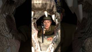 Did a Soldier Really Hide in a Crocodile 🐊