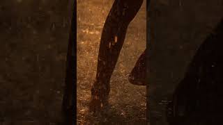 Heavy Rain on Window – Relax, Focus & Sleep Better #heavyrain #naturesounds #rainsounds relaxing