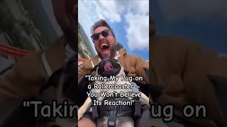 "My pug rides a rollercoaster 🐶🎢 Hilarious reaction! #pug #funnydog #petadventures"