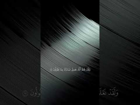 القران الكريم #قرآن #quran #islam #shorts