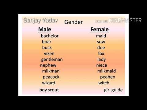 gender part 2