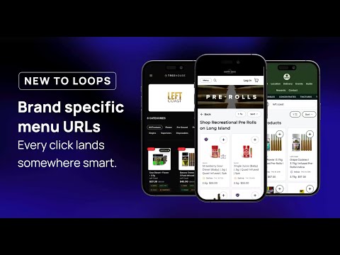 Introducing AIQ Loops: Your ads, where shoppers already are.