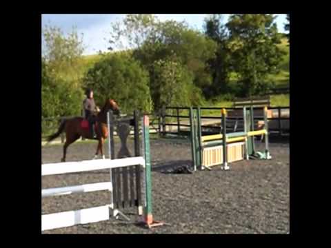 scooby & Brian jumping 1m course  22 june 2011.wmv
