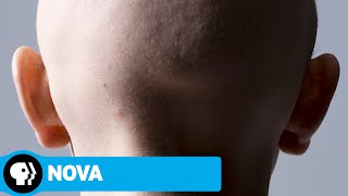 NOVA | Memory Hackers (Preview) | PBS