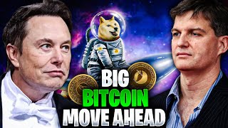 The Bitcoin Ecosystem Downfall | 4 Long Term Strategies