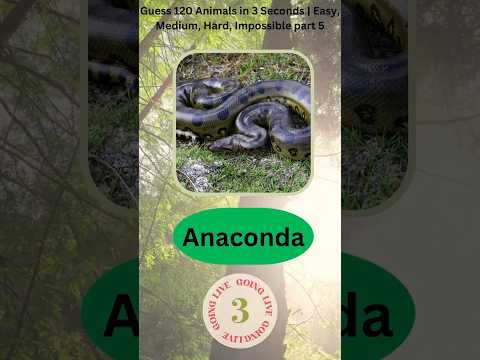 Can You Learn 100 Animal Species in ONE Week? #animals #animalspecies #quiz #animalkingdom #learning