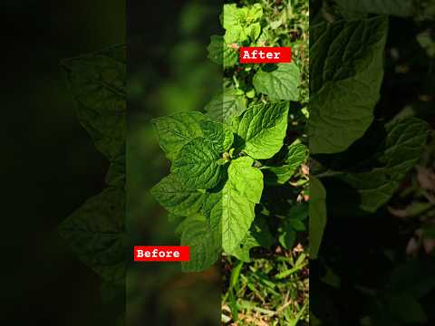 Before after photo editing video background blur Photo editing video #ytshorts #shorts #viralshort