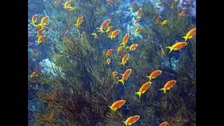 World Environment Day #SaveTheNature #TimeForNature