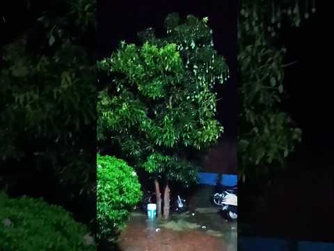 Night view in village #night #view #village #viral #trending #shorts #nature #mango
